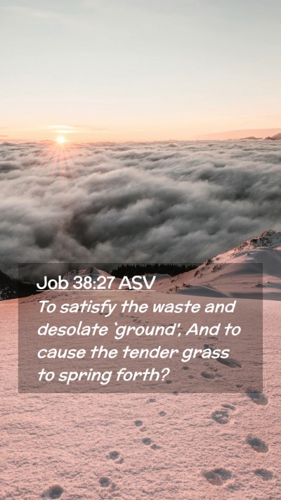 Picture 02 - Job 38:27 ASV Mobile Phone Wallpaper - To satisfy the waste and desolate `ground', And - Mobile Bible Verse Wallpaper