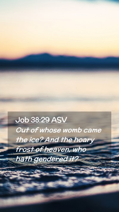 Picture 02 - Job 38:29 ASV Mobile Phone Wallpaper - Out of whose womb came the ice? And the hoary - Mobile Bible Verse Wallpaper