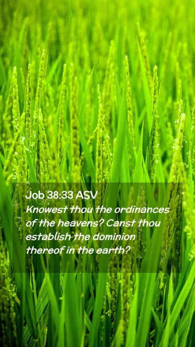 Picture 02 - Job 38:33 ASV Mobile Phone Wallpaper - Knowest thou the ordinances of the heavens? Canst - Mobile Bible Verse Wallpaper