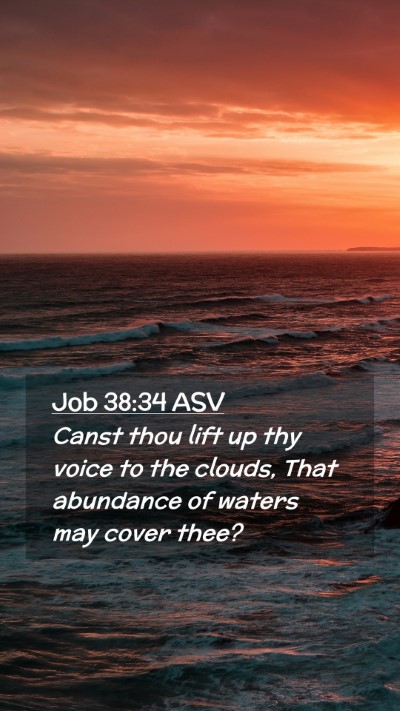 Picture 02 - Job 38:34 ASV Mobile Phone Wallpaper - Canst thou lift up thy voice to the clouds, That - Mobile Bible Verse Wallpaper