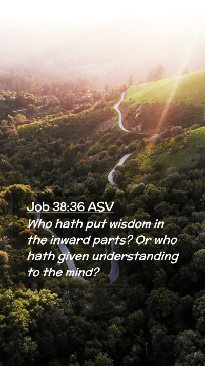 Picture 02 - Job 38:36 ASV Mobile Phone Wallpaper - Who hath put wisdom in the inward parts? Or who - Mobile Bible Verse Wallpaper