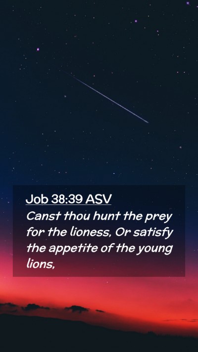 Picture 02 - Job 38:39 ASV Mobile Phone Wallpaper - Canst thou hunt the prey for the lioness, Or - Mobile Bible Verse Wallpaper