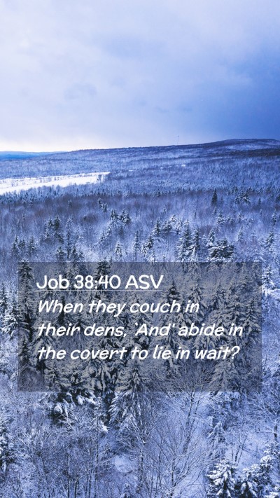Picture 02 - Job 38:40 ASV Mobile Phone Wallpaper - When they couch in their dens, `And' abide in the - Mobile Bible Verse Wallpaper
