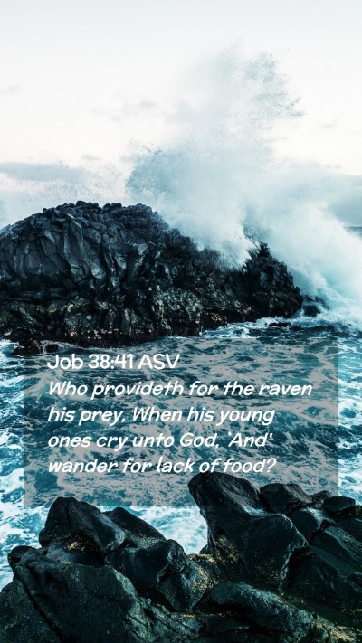 Picture 02 - Job 38:41 ASV Mobile Phone Wallpaper - Who provideth for the raven his prey, When his - Mobile Bible Verse Wallpaper