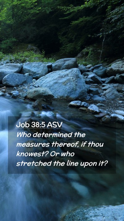 Picture 02 - Job 38:5 ASV Mobile Phone Wallpaper - Who determined the measures thereof, if thou - Mobile Bible Verse Wallpaper