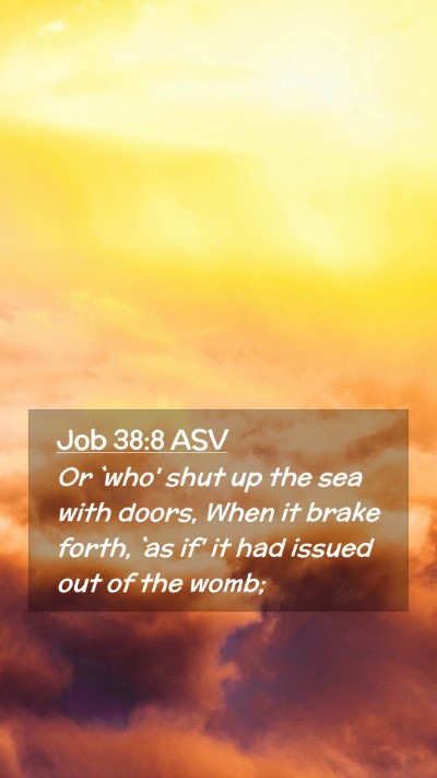 Picture 02 - Job 38:8 ASV Mobile Phone Wallpaper - Or `who' shut up the sea with doors, When it - Mobile Bible Verse Wallpaper