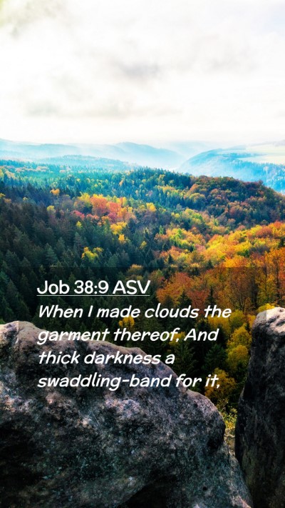 Picture 02 - Job 38:9 ASV Mobile Phone Wallpaper - When I made clouds the garment thereof, And thick - Mobile Bible Verse Wallpaper