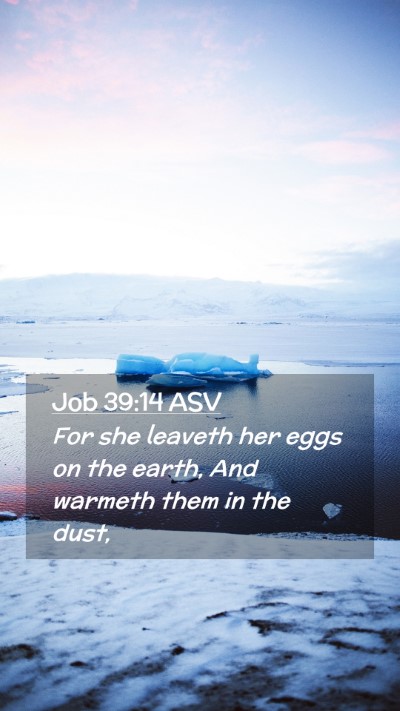 Picture 02 - Job 39:14 ASV Mobile Phone Wallpaper - For she leaveth her eggs on the earth, And - Mobile Bible Verse Wallpaper