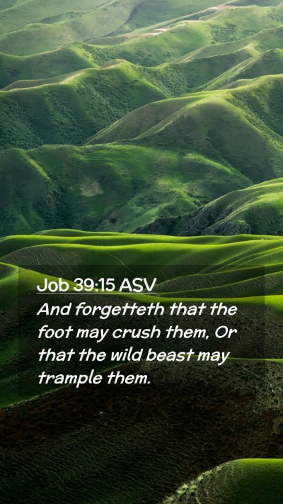 Picture 02 - Job 39:15 ASV Mobile Phone Wallpaper - And forgetteth that the foot may crush them, Or - Mobile Bible Verse Wallpaper