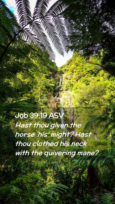 Picture 02 - Job 39:19 ASV Mobile Phone Wallpaper - Hast thou given the horse `his' might? Hast thou - Mobile Bible Verse Wallpaper