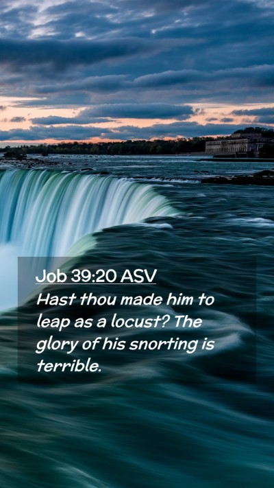 Picture 02 - Job 39:20 ASV Mobile Phone Wallpaper - Hast thou made him to leap as a locust? The glory - Mobile Bible Verse Wallpaper