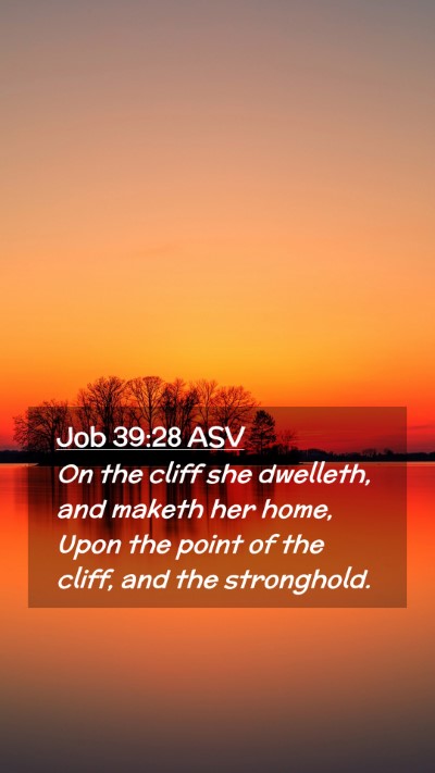 Picture 02 - Job 39:28 ASV Mobile Phone Wallpaper - On the cliff she dwelleth, and maketh her home, - Mobile Bible Verse Wallpaper
