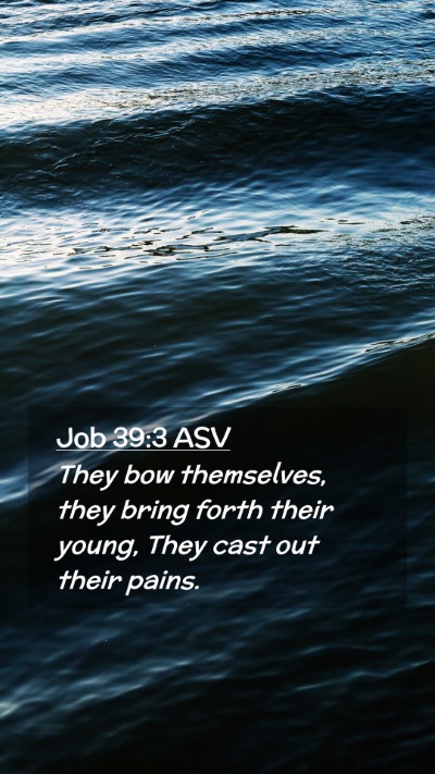 Picture 02 - Job 39:3 ASV Mobile Phone Wallpaper - They bow themselves, they bring forth their - Mobile Bible Verse Wallpaper