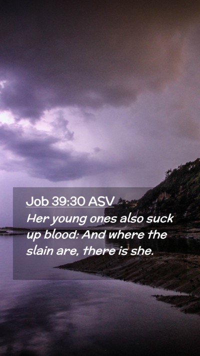 Picture 02 - Job 39:30 ASV Mobile Phone Wallpaper - Her young ones also suck up blood: And where the - Mobile Bible Verse Wallpaper