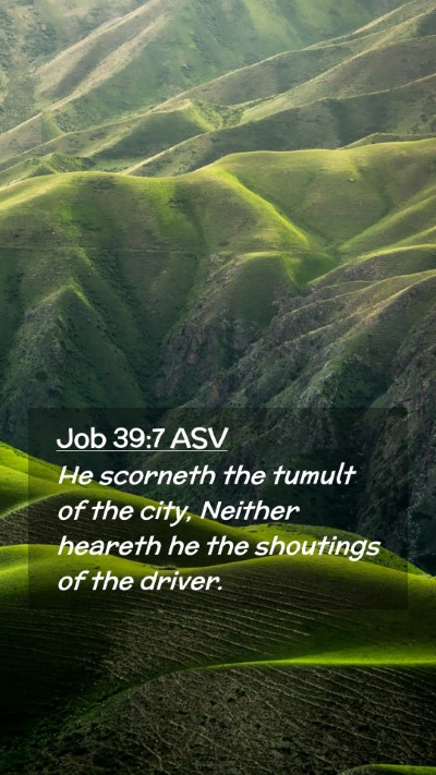 Picture 02 - Job 39:7 ASV Mobile Phone Wallpaper - He scorneth the tumult of the city, Neither - Mobile Bible Verse Wallpaper