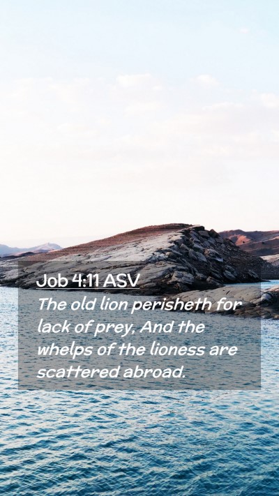 Picture 02 - Job 4:11 ASV Mobile Phone Wallpaper - The old lion perisheth for lack of prey, And the - Mobile Bible Verse Wallpaper