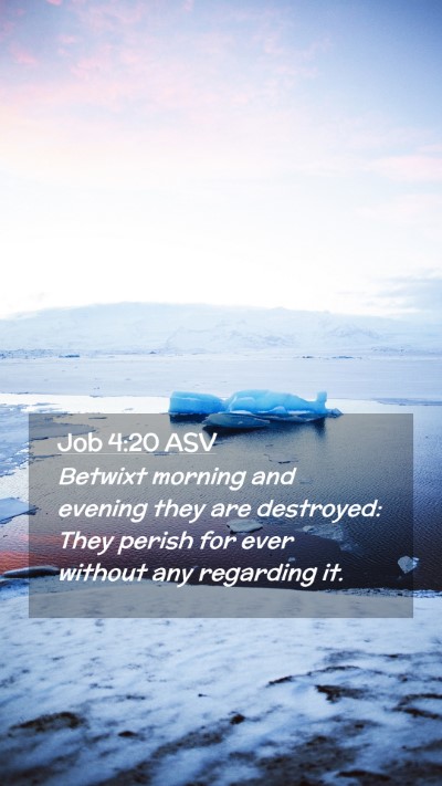 Picture 02 - Job 4:20 ASV Mobile Phone Wallpaper - Betwixt morning and evening they are destroyed: - Mobile Bible Verse Wallpaper
