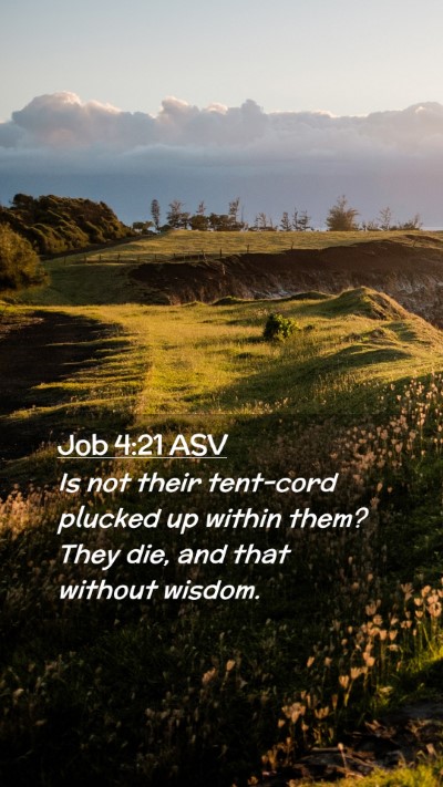 Picture 02 - Job 4:21 ASV Mobile Phone Wallpaper - Is not their tent-cord plucked up within them? - Mobile Bible Verse Wallpaper