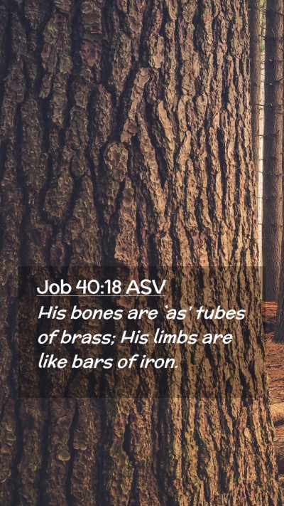 Picture 02 - Job 40:18 ASV Mobile Phone Wallpaper - His bones are `as' tubes of brass; His limbs are - Mobile Bible Verse Wallpaper
