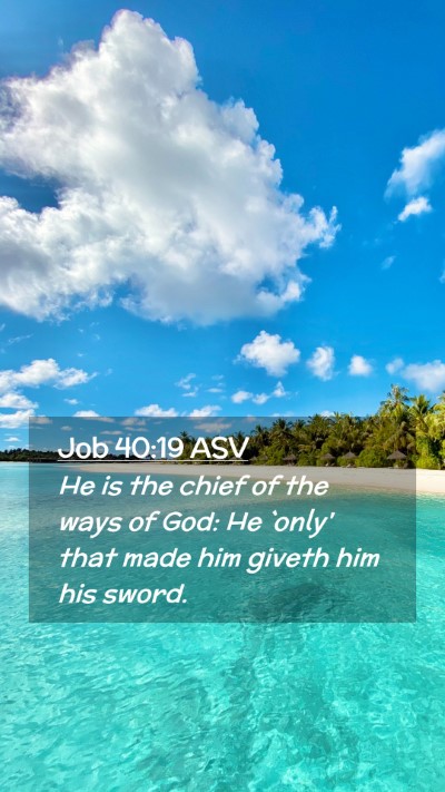 Picture 02 - Job 40:19 ASV Mobile Phone Wallpaper - He is the chief of the ways of God: He `only' - Mobile Bible Verse Wallpaper
