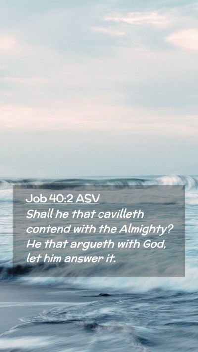 Picture 02 - Job 40:2 ASV Mobile Phone Wallpaper - Shall he that cavilleth contend with the - Mobile Bible Verse Wallpaper