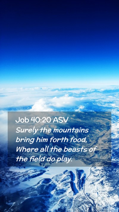 Picture 02 - Job 40:20 ASV Mobile Phone Wallpaper - Surely the mountains bring him forth food, Where - Mobile Bible Verse Wallpaper