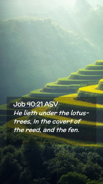 Picture 02 - Job 40:21 ASV Mobile Phone Wallpaper - He lieth under the lotus-trees, In the covert of - Mobile Bible Verse Wallpaper