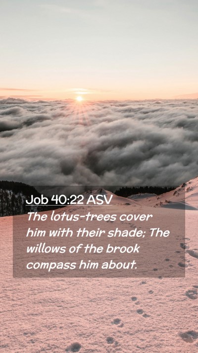 Picture 02 - Job 40:22 ASV Mobile Phone Wallpaper - The lotus-trees cover him with their shade; The - Mobile Bible Verse Wallpaper
