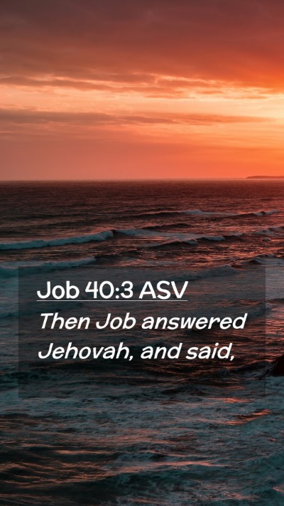 Picture 02 - Job 40:3 ASV Mobile Phone Wallpaper - Then Job answered Jehovah, and - Mobile Bible Verse Wallpaper