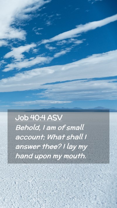 Picture 02 - Job 40:4 ASV Mobile Phone Wallpaper - Behold, I am of small account; What shall I - Mobile Bible Verse Wallpaper