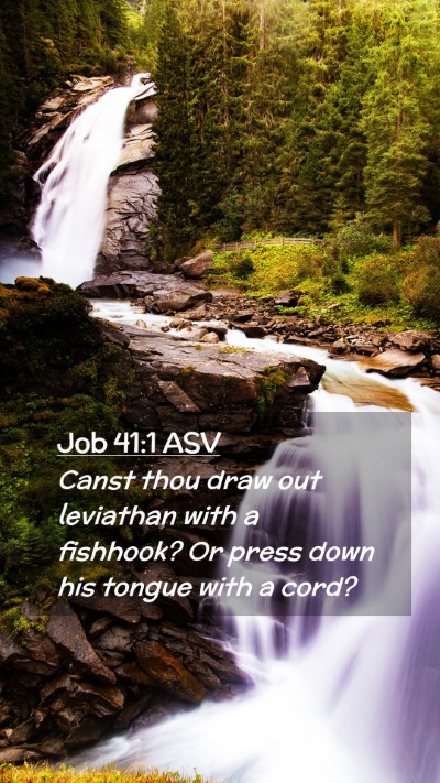 Picture 02 - Job 41:1 ASV Mobile Phone Wallpaper - Canst thou draw out leviathan with a fishhook? Or - Mobile Bible Verse Wallpaper