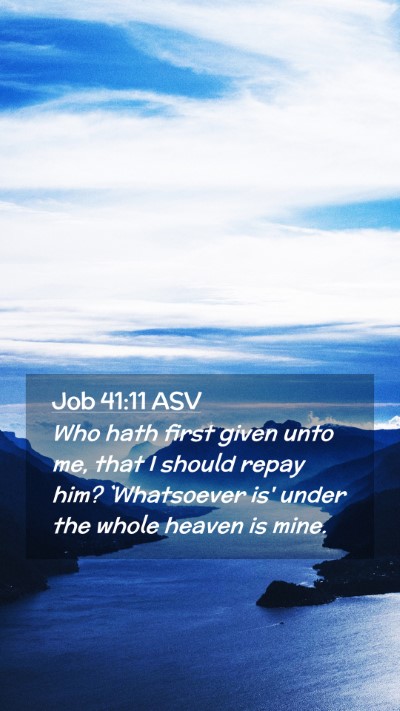 Picture 02 - Job 41:11 ASV Mobile Phone Wallpaper - Who hath first given unto me, that I should repay - Mobile Bible Verse Wallpaper