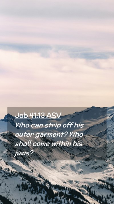 Picture 02 - Job 41:13 ASV Mobile Phone Wallpaper - Who can strip off his outer garment? Who shall - Mobile Bible Verse Wallpaper