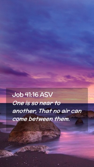 Picture 02 - Job 41:16 ASV Mobile Phone Wallpaper - One is so near to another, That no air can come - Mobile Bible Verse Wallpaper