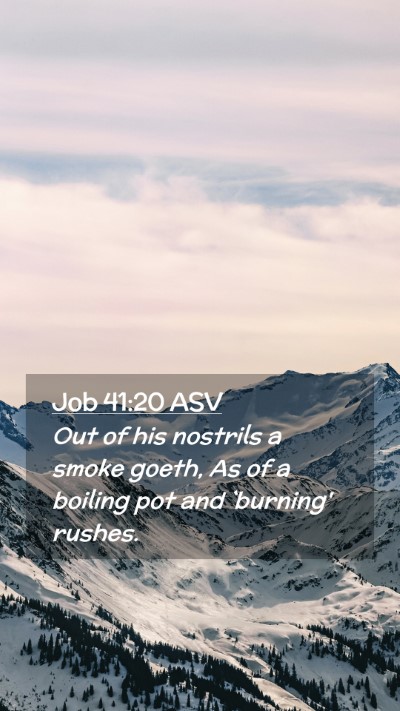 Picture 02 - Job 41:20 ASV Mobile Phone Wallpaper - Out of his nostrils a smoke goeth, As of a - Mobile Bible Verse Wallpaper