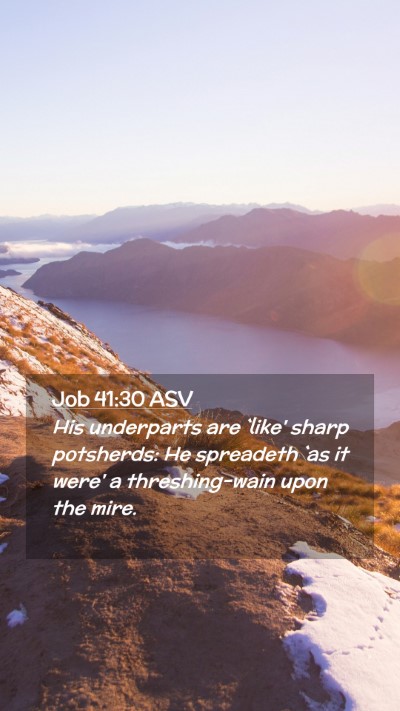 Picture 02 - Job 41:30 ASV Mobile Phone Wallpaper - His underparts are `like' sharp potsherds: He - Mobile Bible Verse Wallpaper