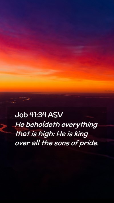 Picture 02 - Job 41:34 ASV Mobile Phone Wallpaper - He beholdeth everything that is high: He is king - Mobile Bible Verse Wallpaper