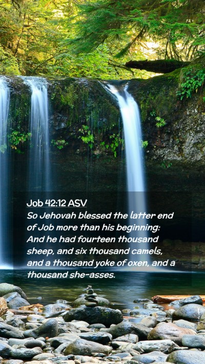 Picture 02 - Job 42:12 ASV Mobile Phone Wallpaper - So Jehovah blessed the latter end of Job more - Mobile Bible Verse Wallpaper