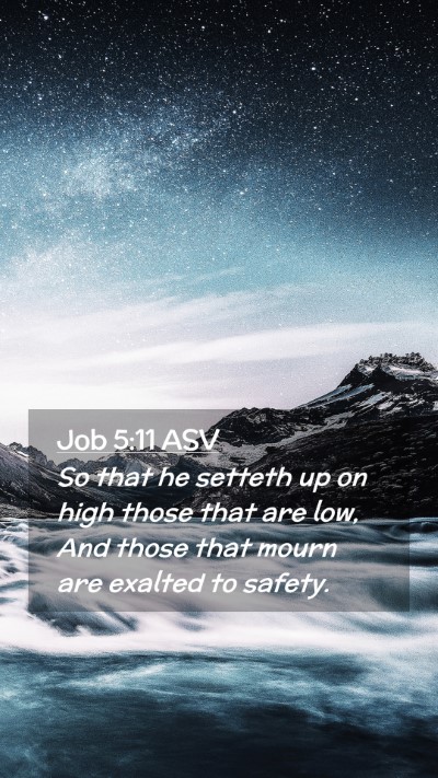Picture 02 - Job 5:11 ASV Mobile Phone Wallpaper - So that he setteth up on high those that are low, - Mobile Bible Verse Wallpaper