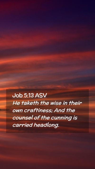 Picture 02 - Job 5:13 ASV Mobile Phone Wallpaper - He taketh the wise in their own craftiness; And - Mobile Bible Verse Wallpaper