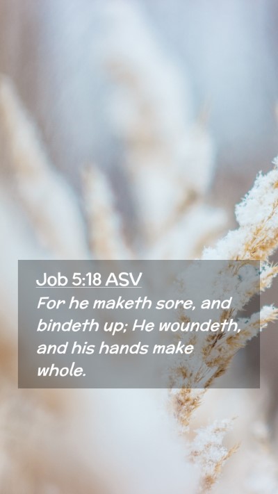 Picture 02 - Job 5:18 ASV Mobile Phone Wallpaper - For he maketh sore, and bindeth up; He woundeth, - Mobile Bible Verse Wallpaper
