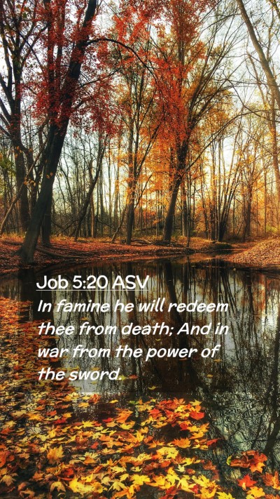 Picture 02 - Job 5:20 ASV Mobile Phone Wallpaper - In famine he will redeem thee from death; And in - Mobile Bible Verse Wallpaper
