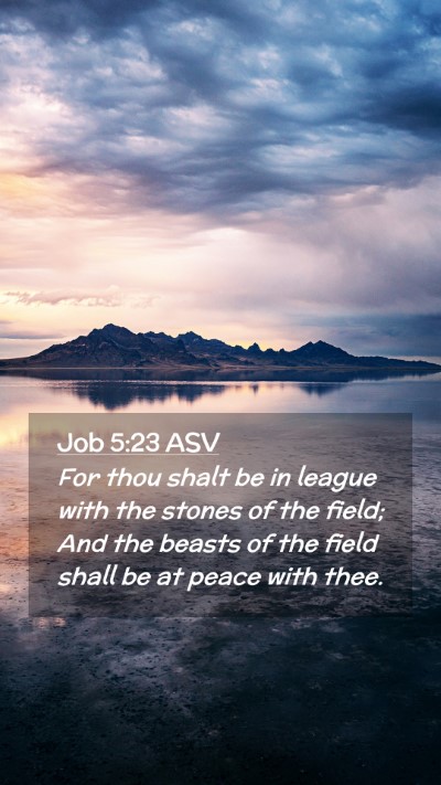 Picture 02 - Job 5:23 ASV Mobile Phone Wallpaper - For thou shalt be in league with the stones of - Mobile Bible Verse Wallpaper