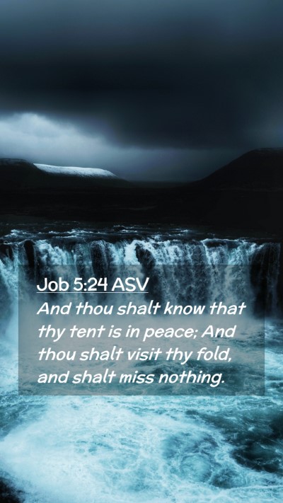 Picture 02 - Job 5:24 ASV Mobile Phone Wallpaper - And thou shalt know that thy tent is in peace; - Mobile Bible Verse Wallpaper