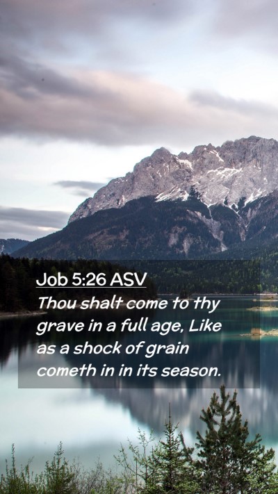 Picture 02 - Job 5:26 ASV Mobile Phone Wallpaper - Thou shalt come to thy grave in a full age, Like - Mobile Bible Verse Wallpaper