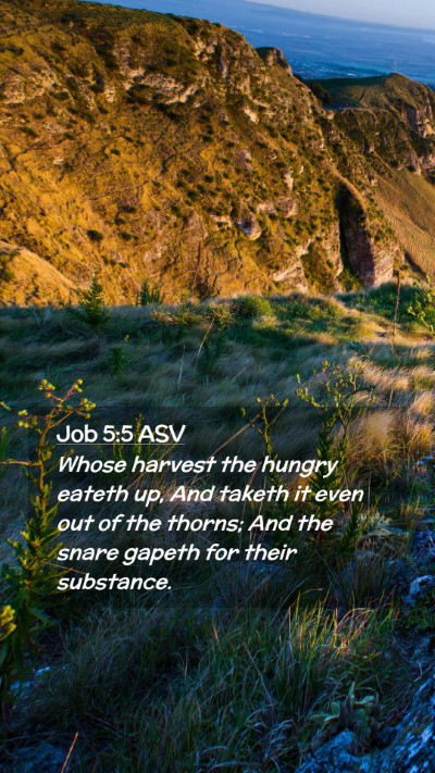 Picture 02 - Job 5:5 ASV Mobile Phone Wallpaper - Whose harvest the hungry eateth up, And taketh it - Mobile Bible Verse Wallpaper