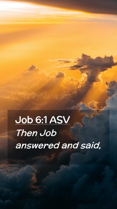 Picture 02 - Job 6:1 ASV Mobile Phone Wallpaper - Then Job answered and - Mobile Bible Verse Wallpaper