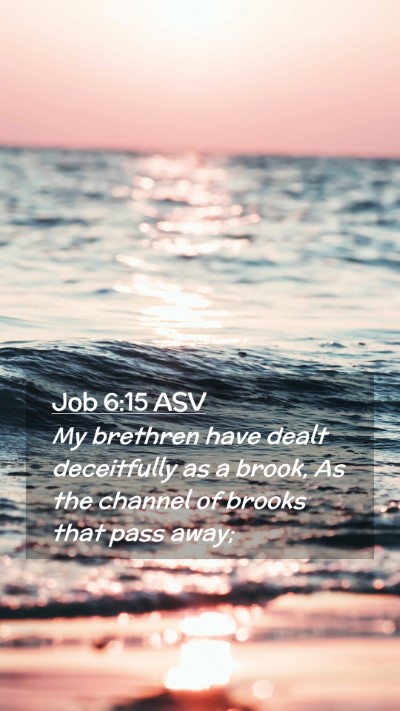 Picture 02 - Job 6:15 ASV Mobile Phone Wallpaper - My brethren have dealt deceitfully as a brook, As - Mobile Bible Verse Wallpaper