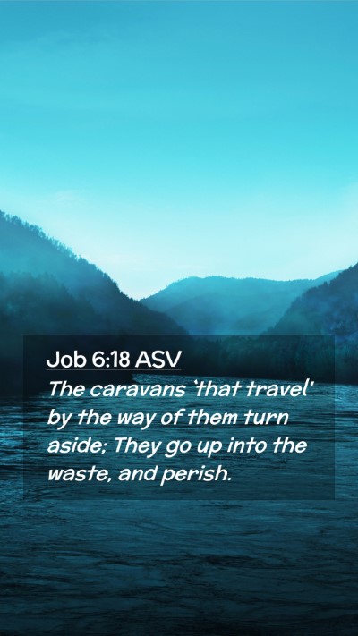 Picture 02 - Job 6:18 ASV Mobile Phone Wallpaper - The caravans `that travel' by the way of them - Mobile Bible Verse Wallpaper