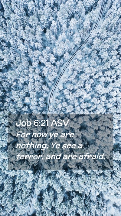 Picture 02 - Job 6:21 ASV Mobile Phone Wallpaper - For now ye are nothing; Ye see a terror, and are - Mobile Bible Verse Wallpaper